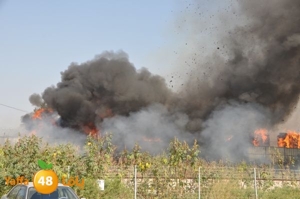 firecartoonsecnd506 (11).JPG